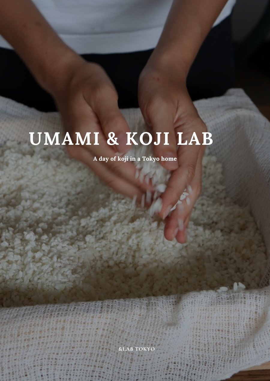 UMAMI & KOJI LAB 教材封面