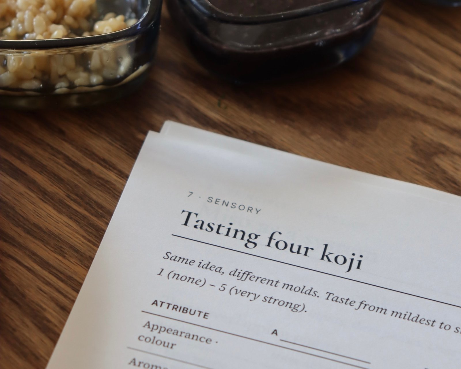 An English tasting sheet titled “Tasting four koji”, with bowls of koji behind it