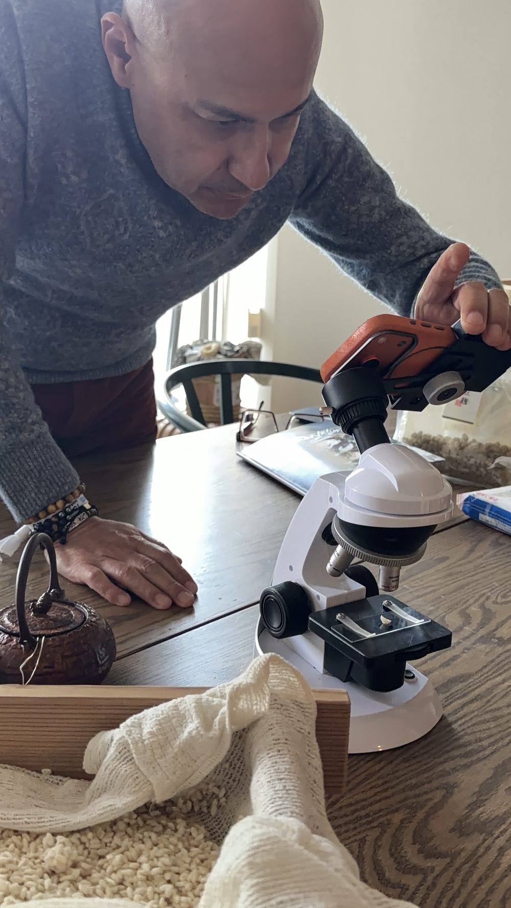A guest looking at koji mold under a microscope
