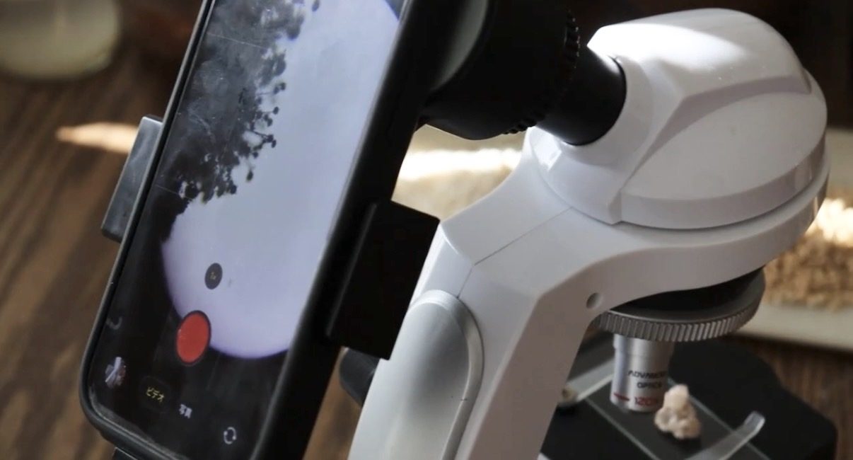 A guest looking at koji through a microscope on the kitchen table